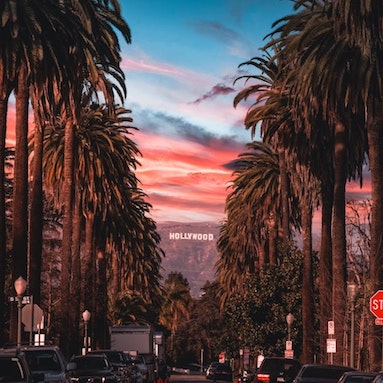 Hollywood sign through palm trees